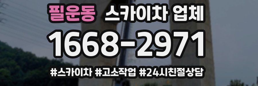 필운동 스카이차 업체
