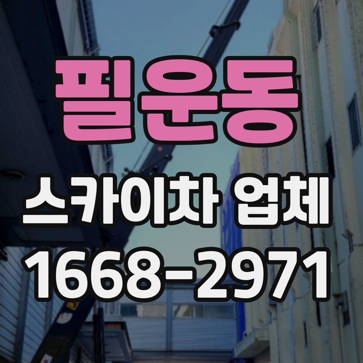 필운동 스카이차 업체