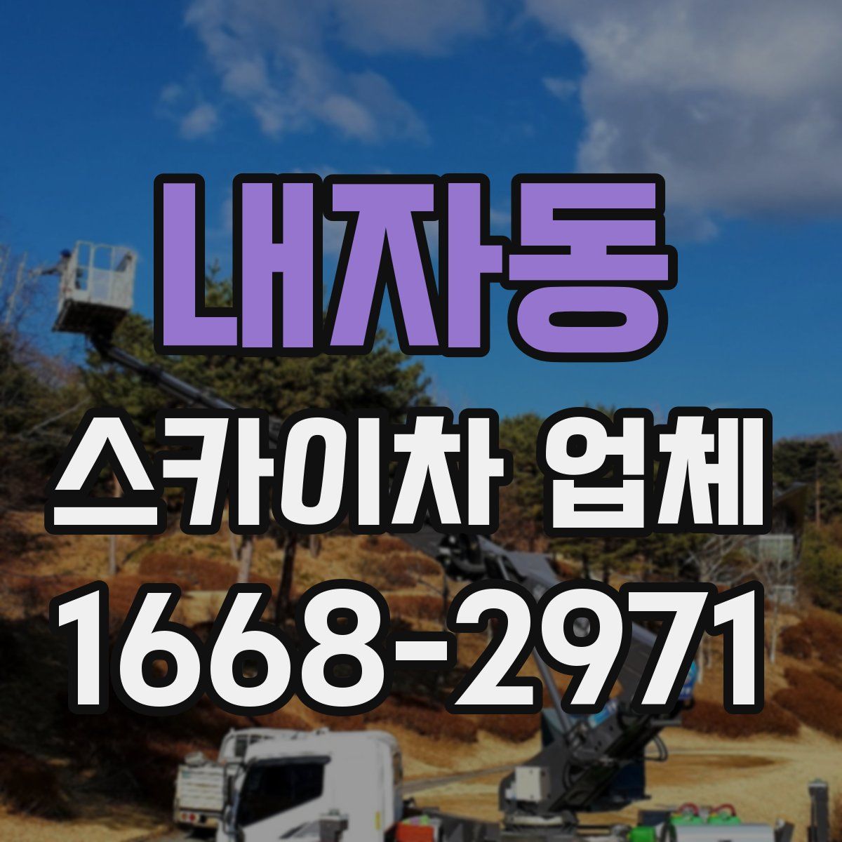 내자동 스카이차 업체