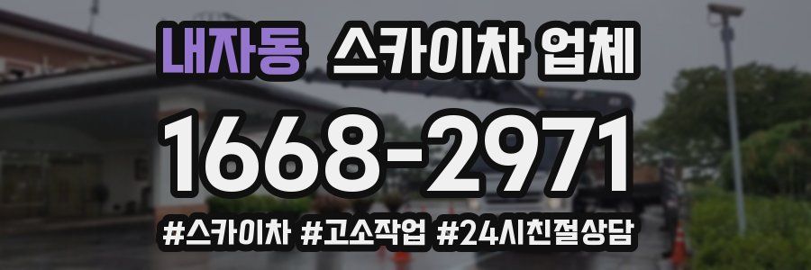 내자동 스카이차 업체