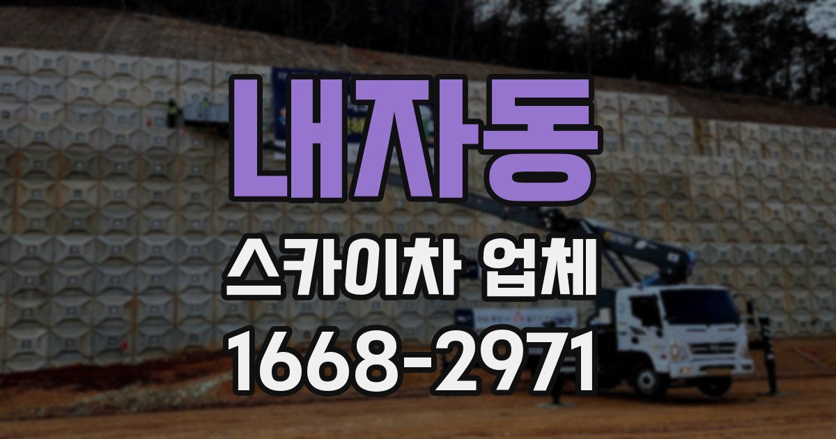 내자동 스카이차 업체