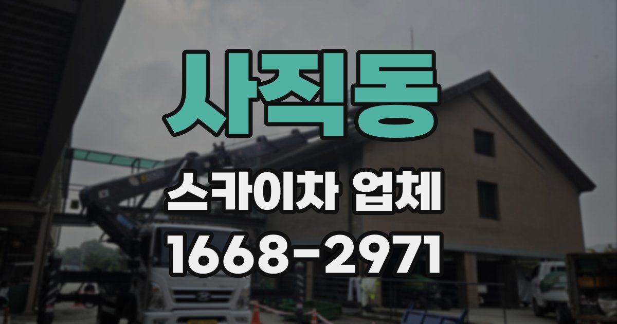 사직동 스카이차 업체