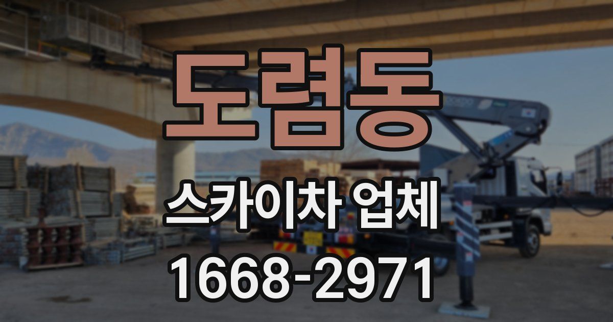 도렴동 스카이차 업체