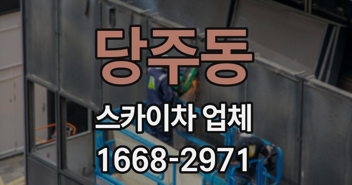 당주동 스카이차 업체