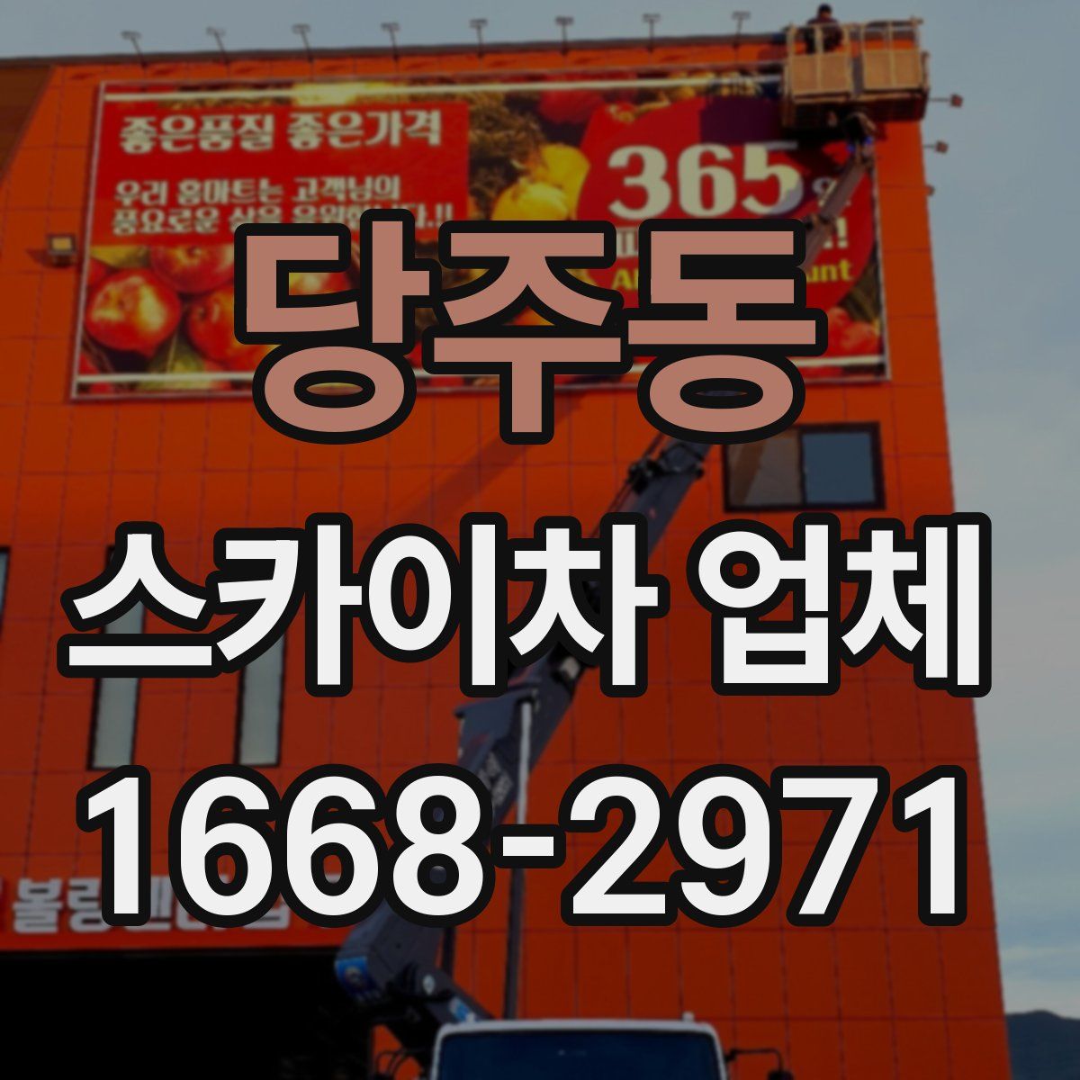 당주동 스카이차 업체