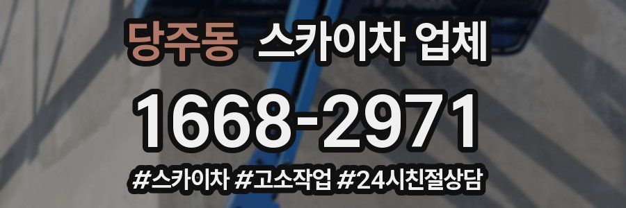 당주동 스카이차 업체
