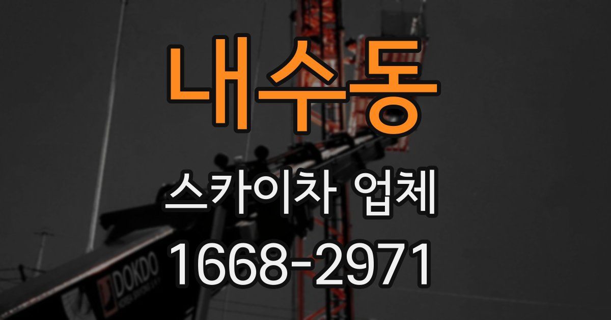 내수동 스카이차 업체