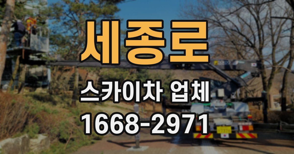 세종로 스카이차 업체