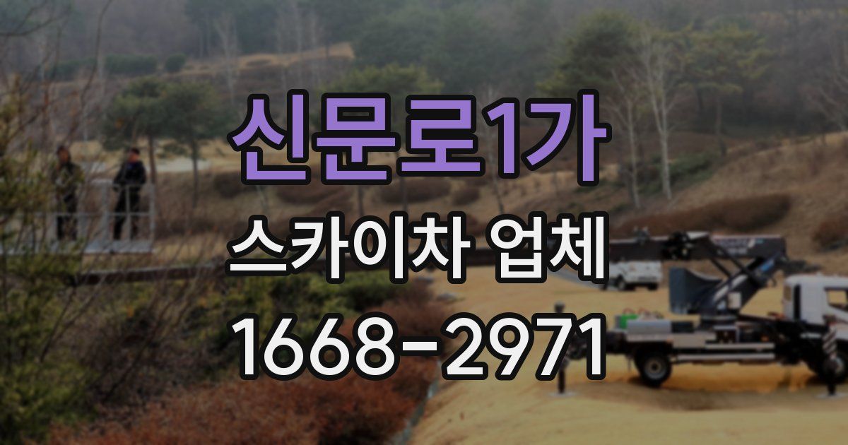 신문로1가 스카이차 업체