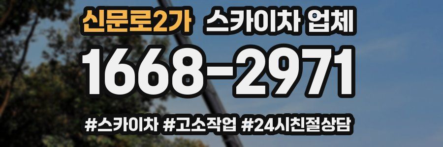 신문로2가 스카이차 업체