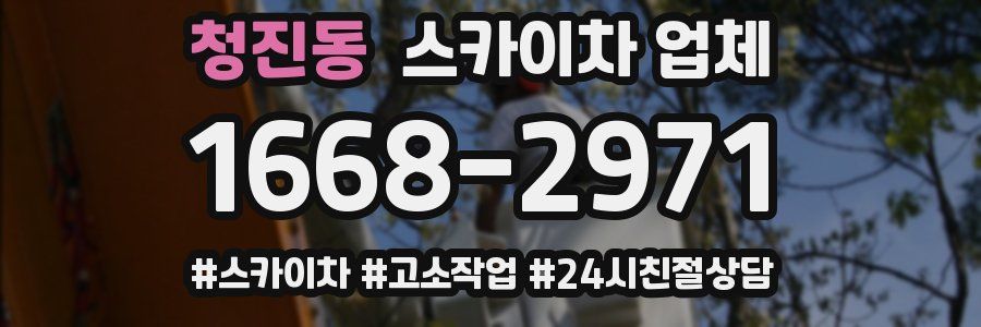 청진동 스카이차 업체