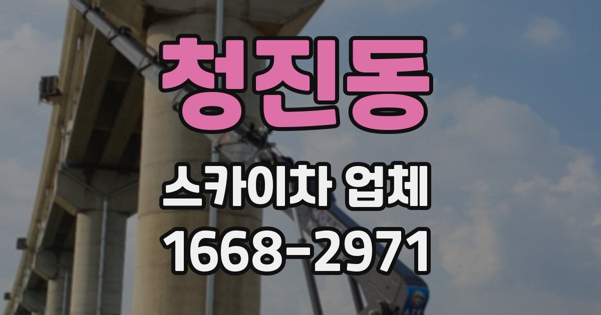 청진동 스카이차 업체