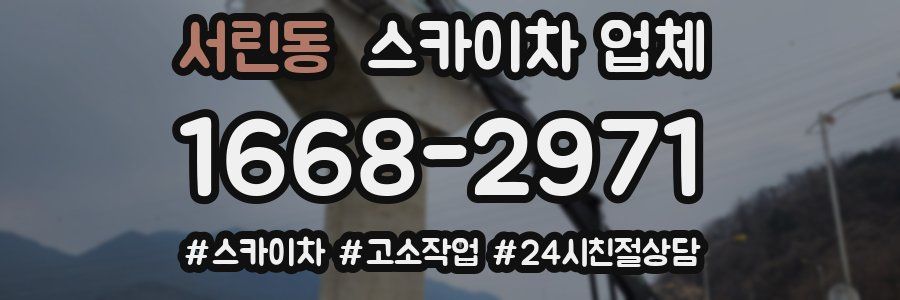 서린동 스카이차 업체