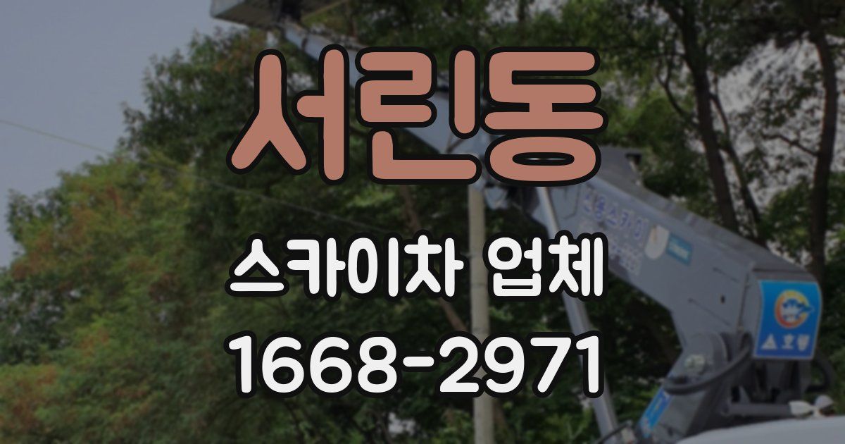 서린동 스카이차 업체