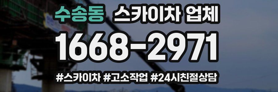 수송동 스카이차 업체