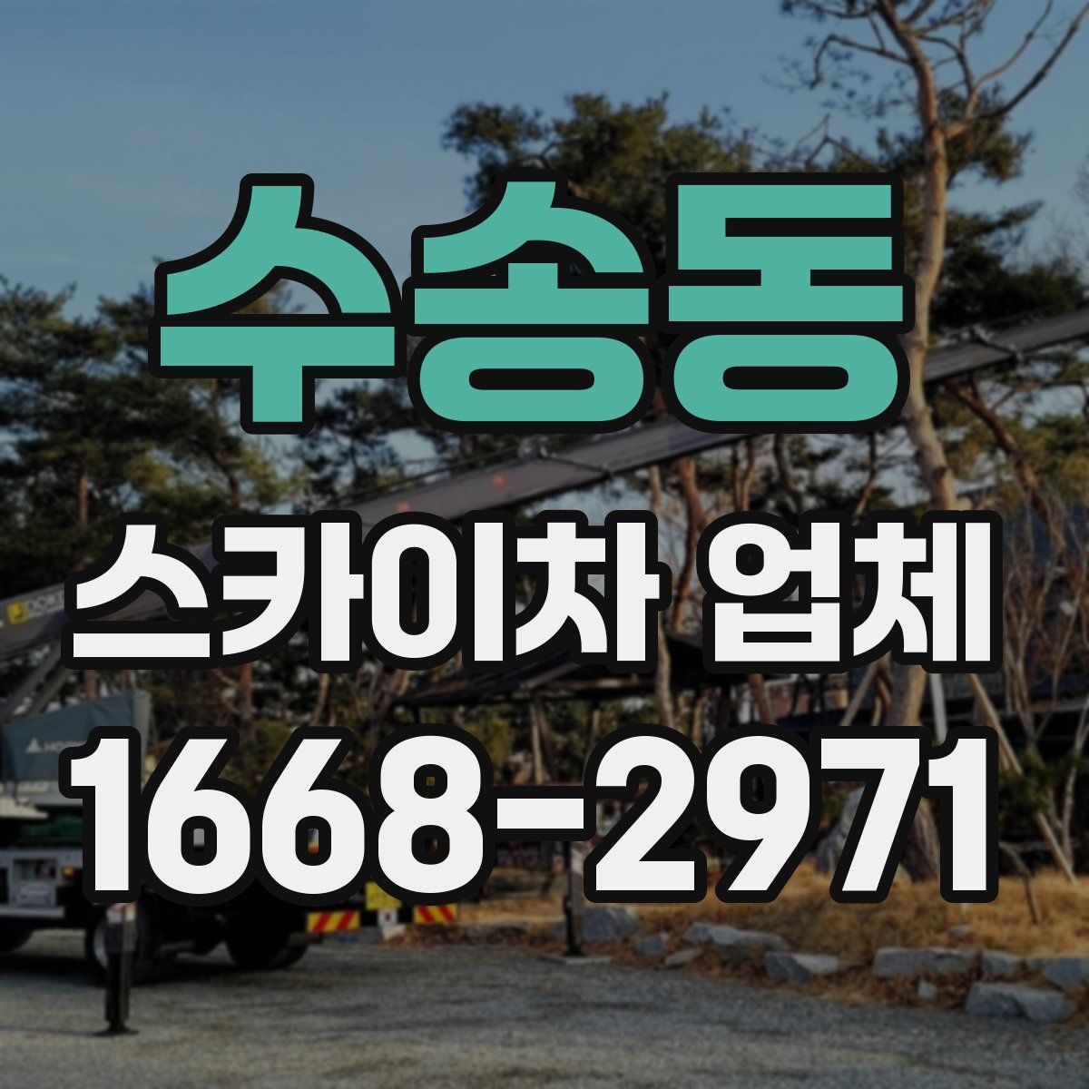 수송동 스카이차 업체