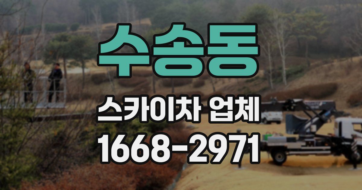 수송동 스카이차 업체