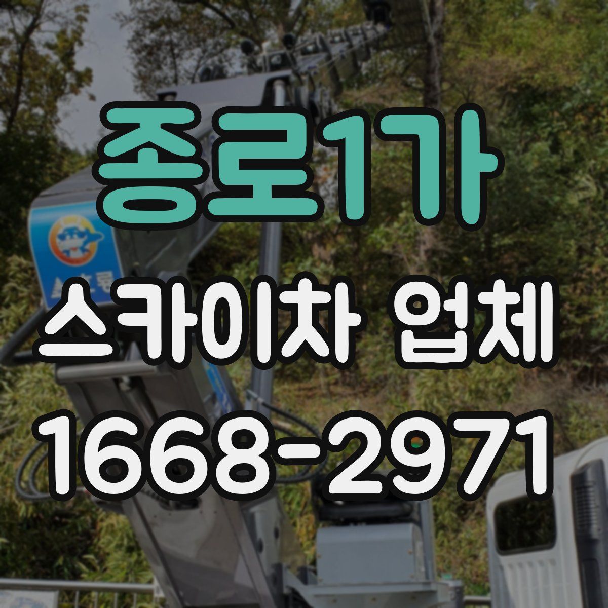 종로1가 스카이차 업체