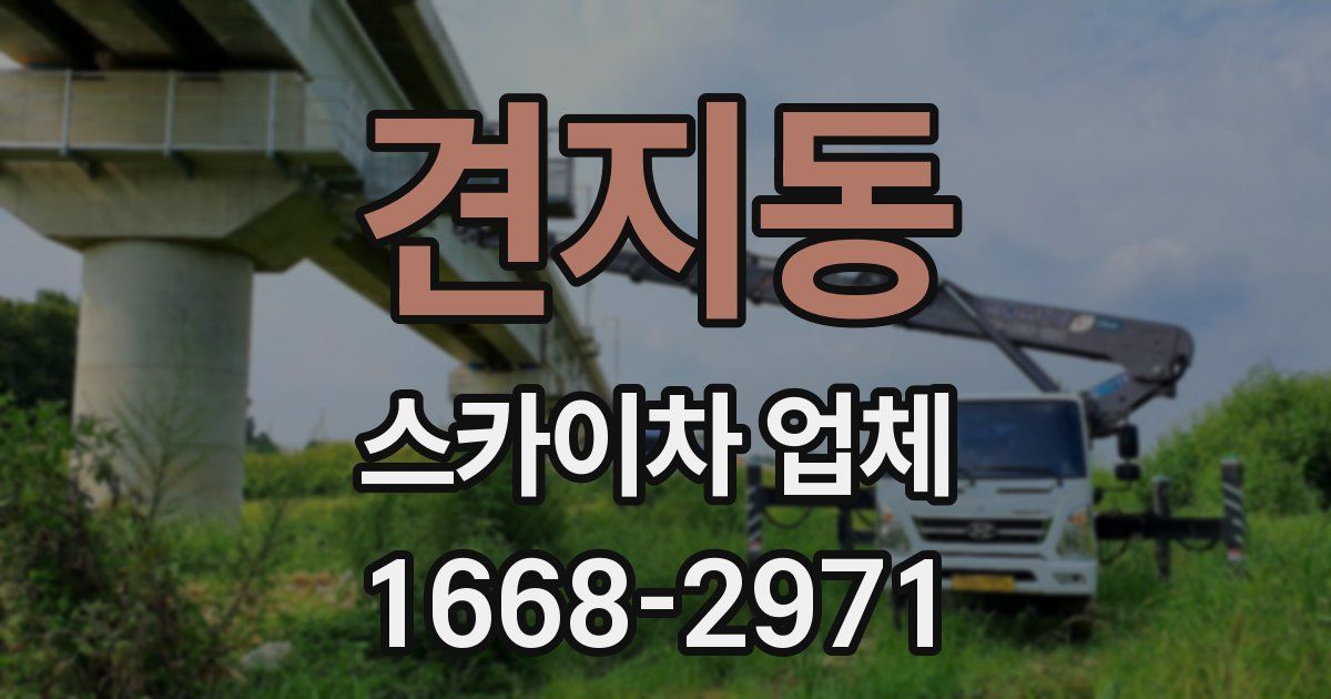 견지동 스카이차 업체