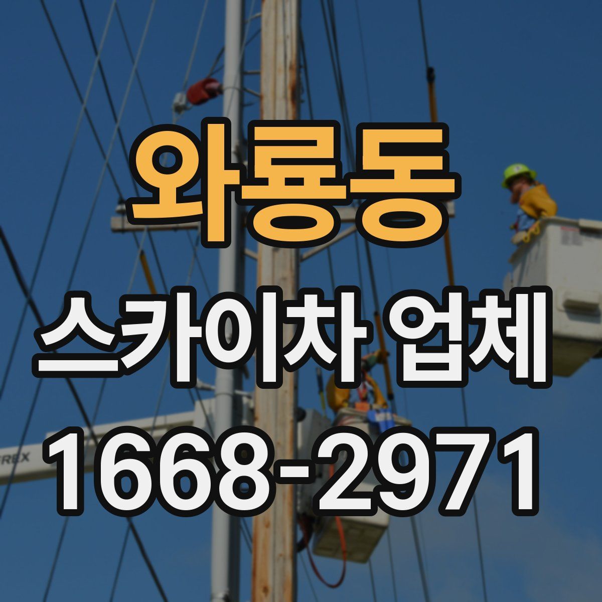 와룡동 스카이차 업체