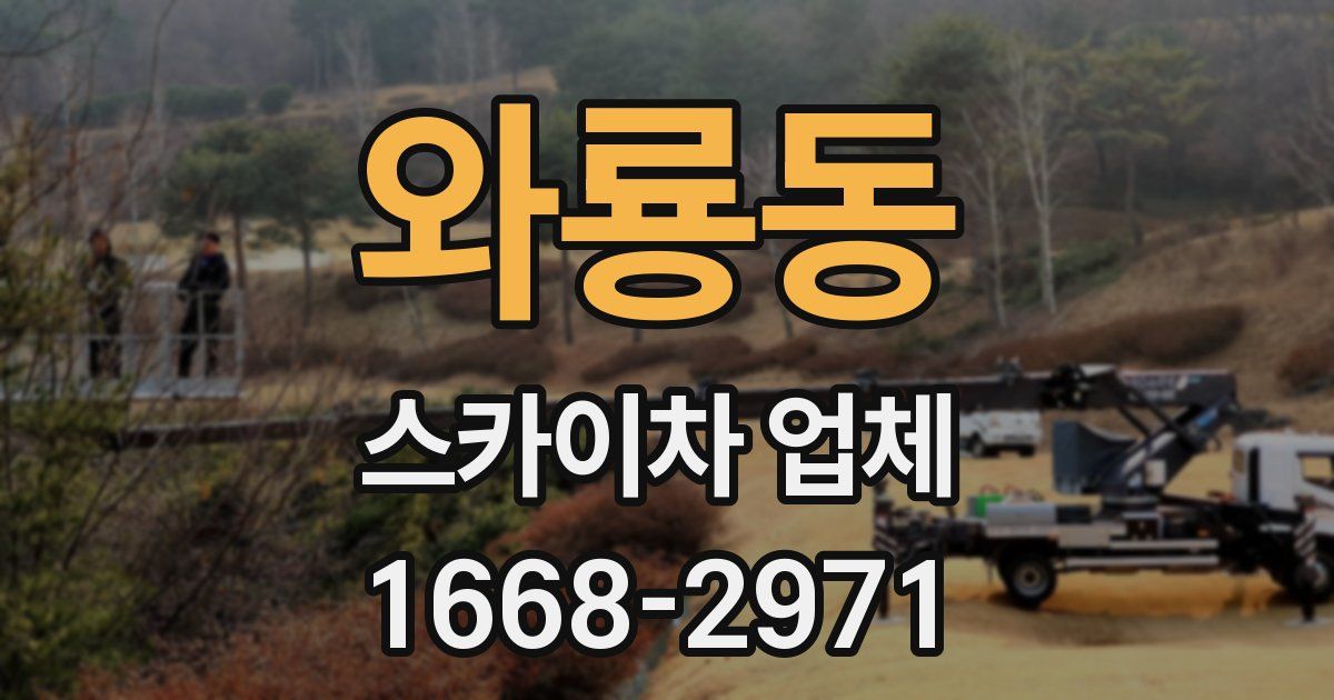 와룡동 스카이차 업체