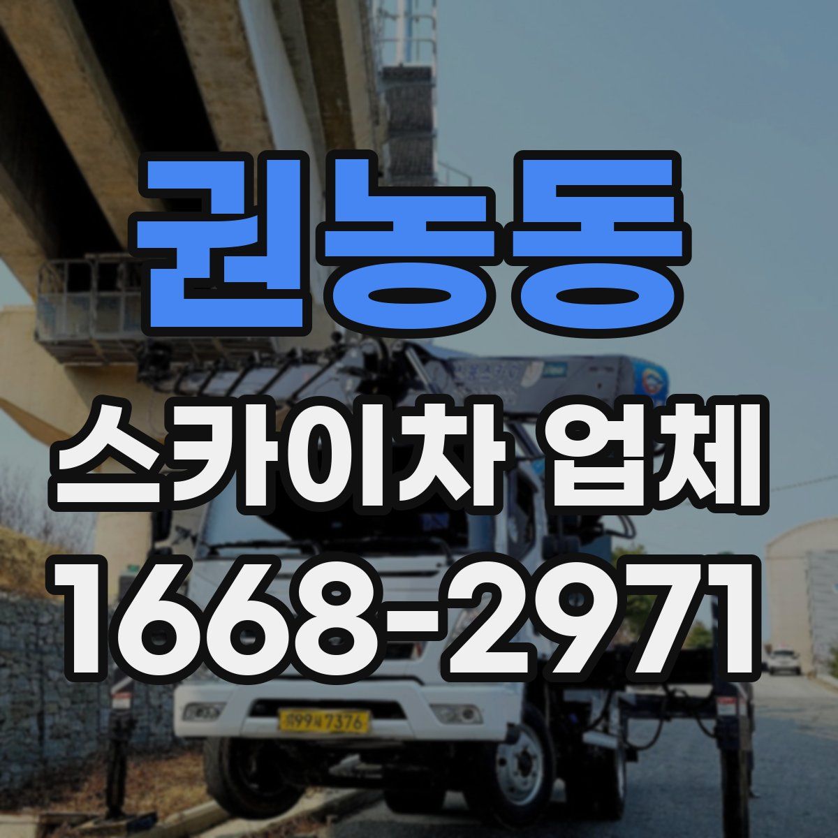 권농동 스카이차 업체