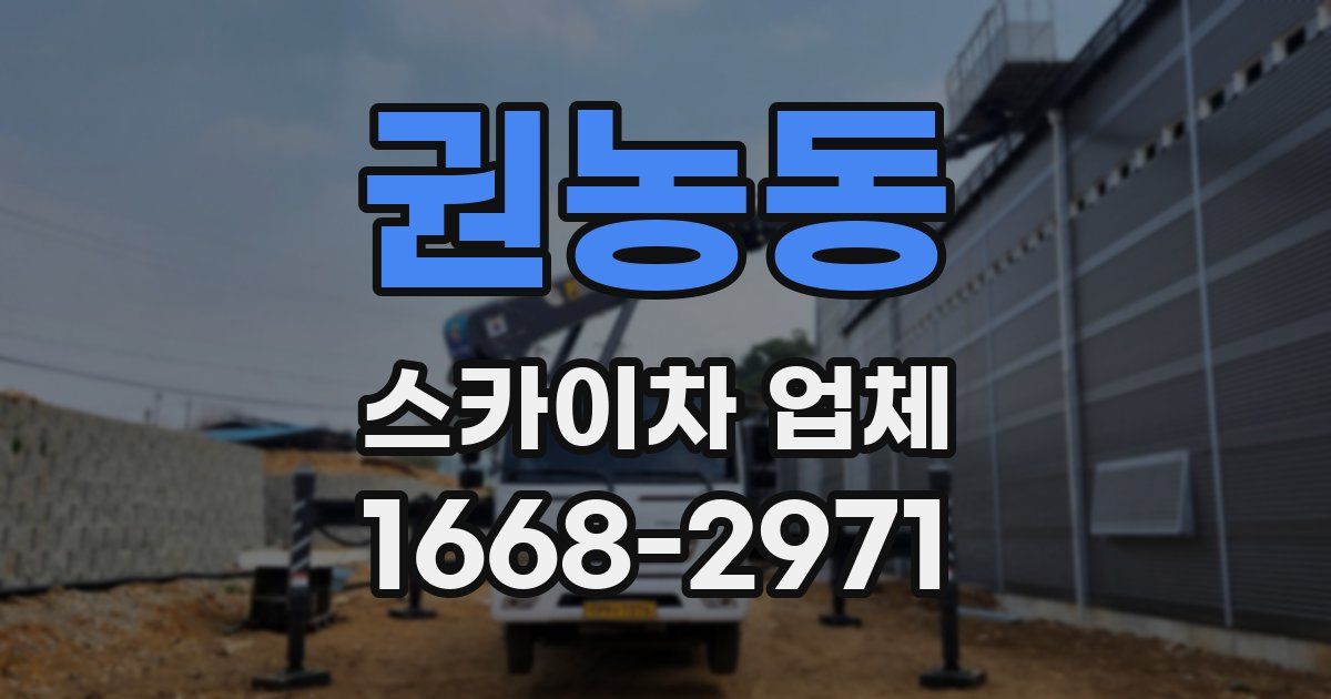 권농동 스카이차 업체