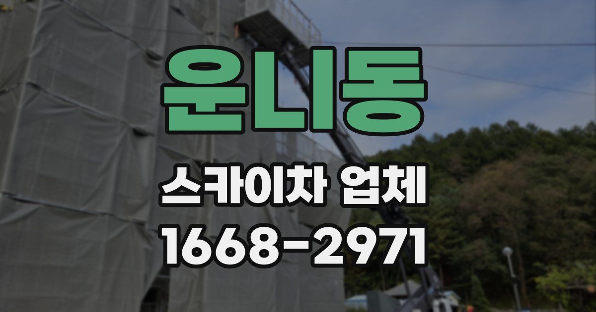운니동 스카이차 업체