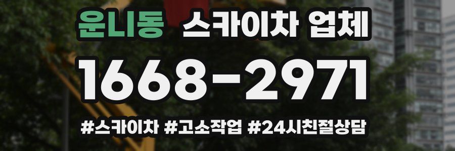 운니동 스카이차 업체