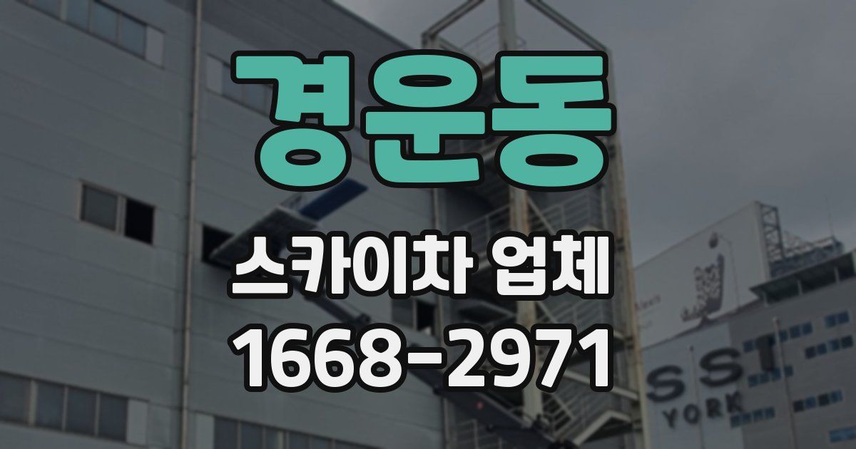 경운동 스카이차 업체