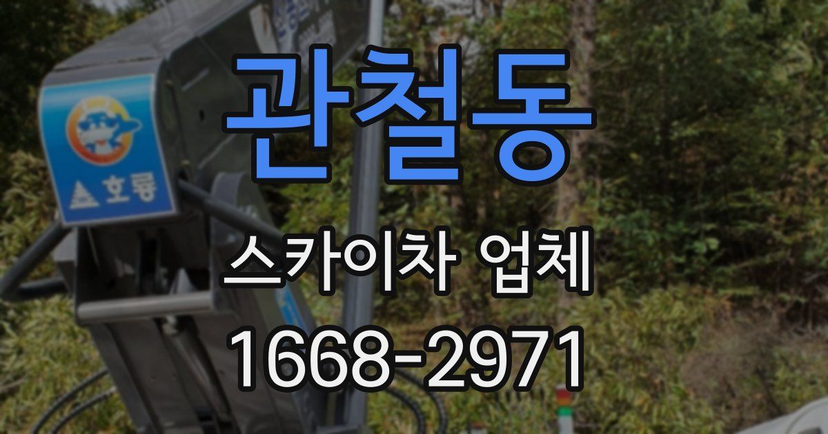 관철동 스카이차 업체