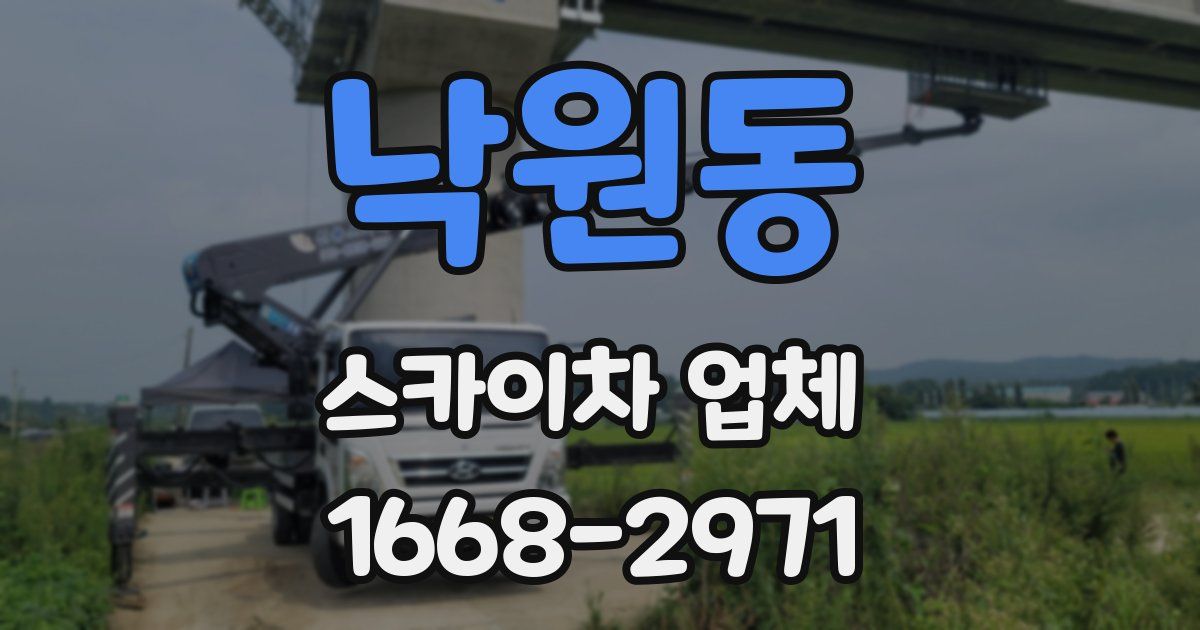 낙원동 스카이차 업체