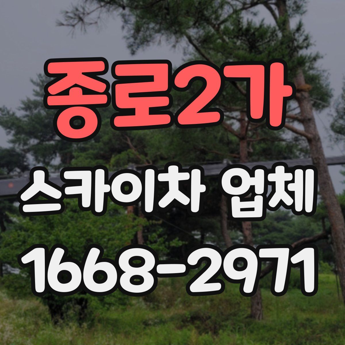 종로2가 스카이차 업체