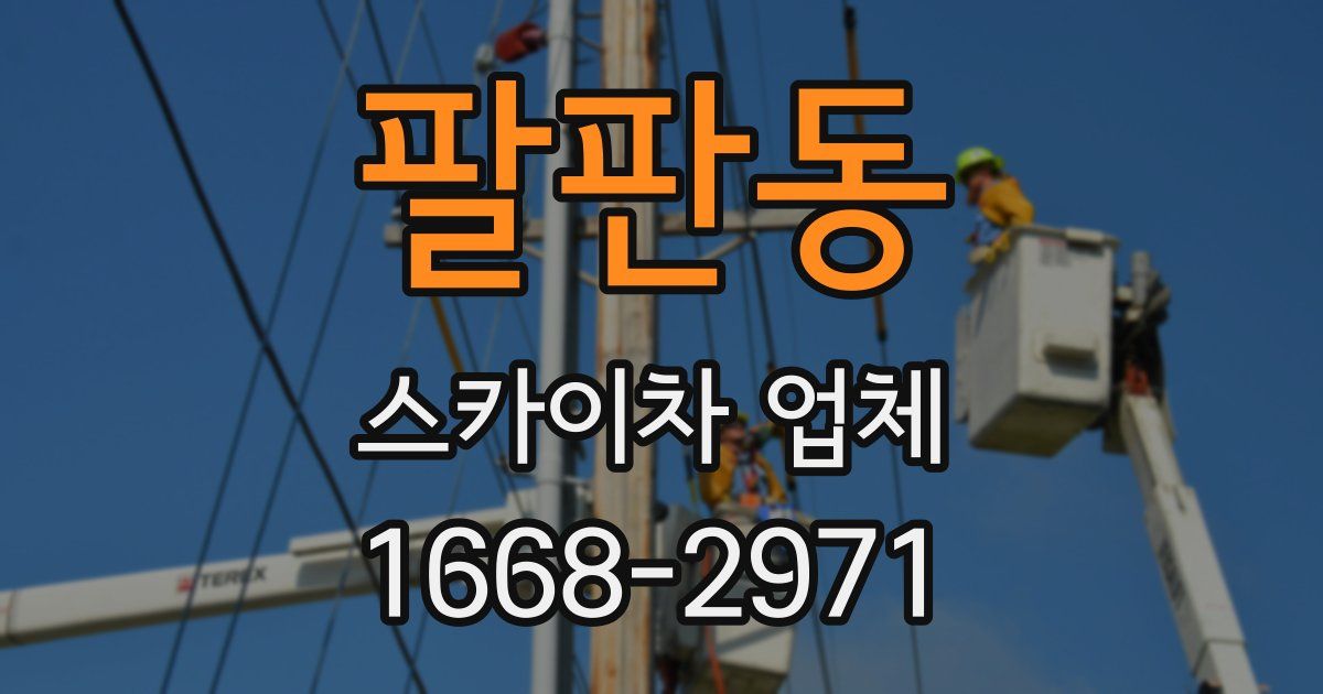 팔판동 스카이차 업체