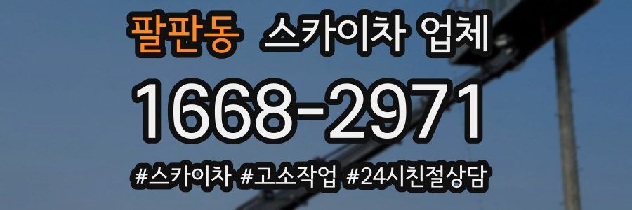 팔판동 스카이차 업체