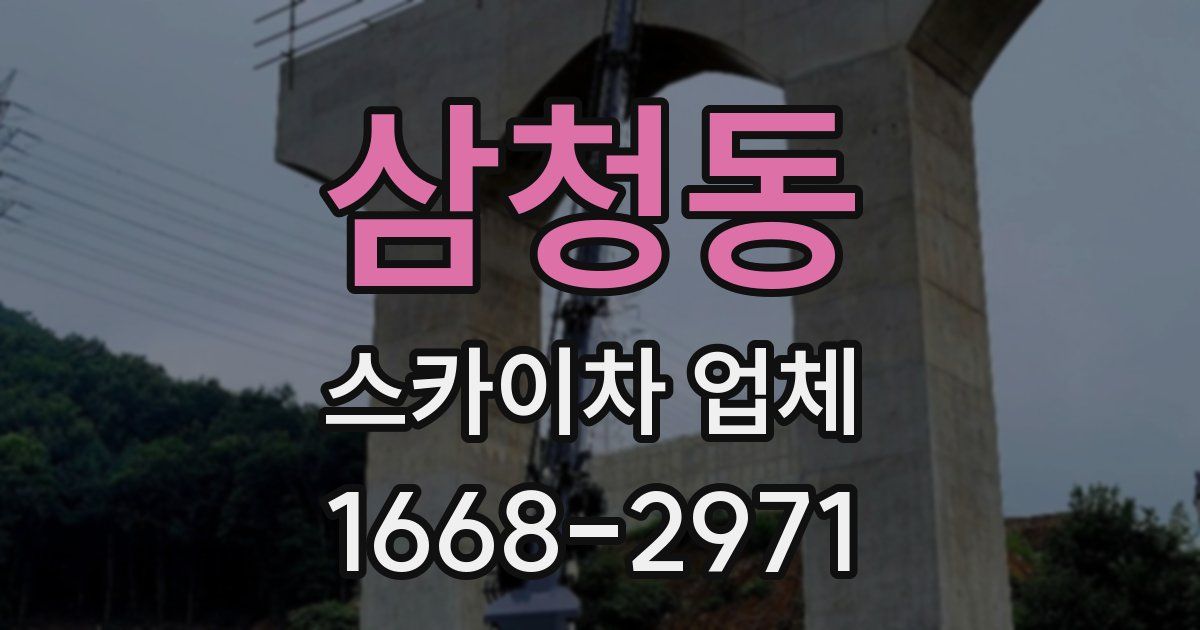 삼청동 스카이차 업체