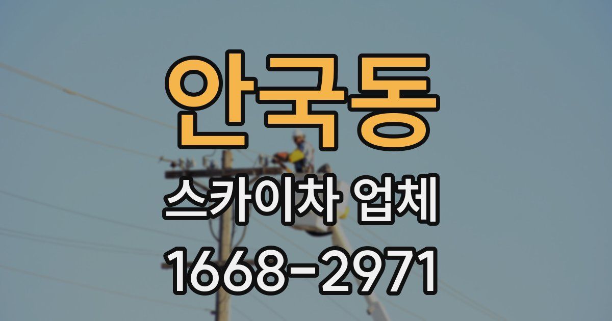 안국동 스카이차 업체