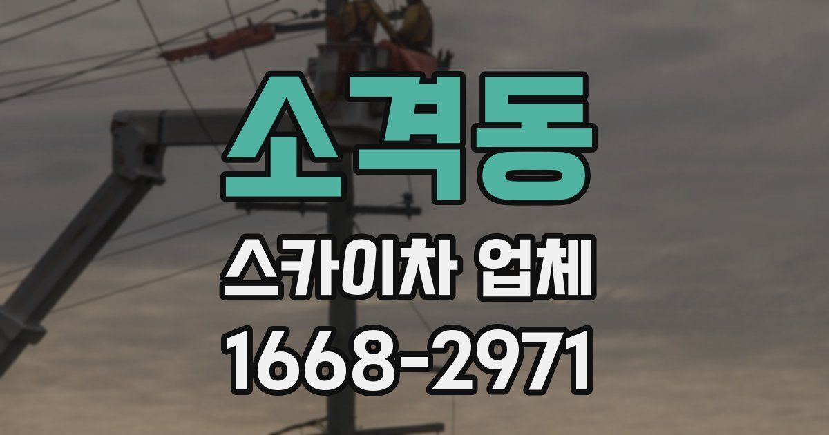 소격동 스카이차 업체