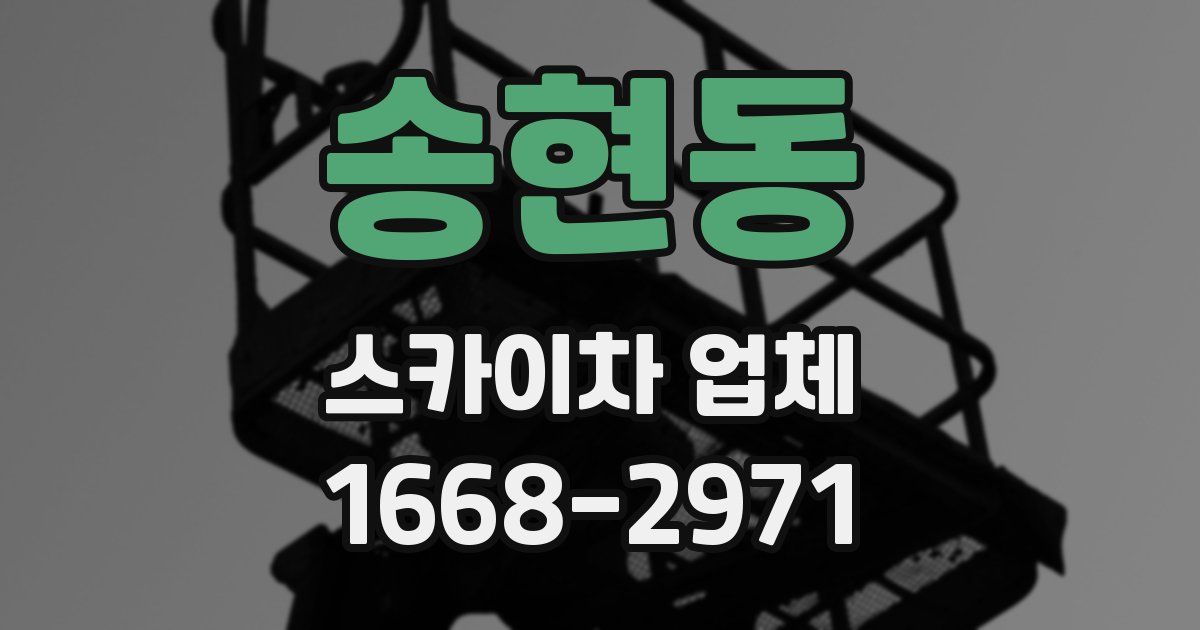 송현동 스카이차 업체