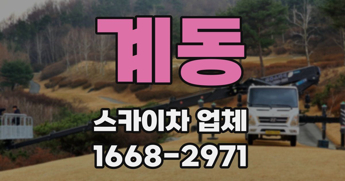 계동 스카이차 업체