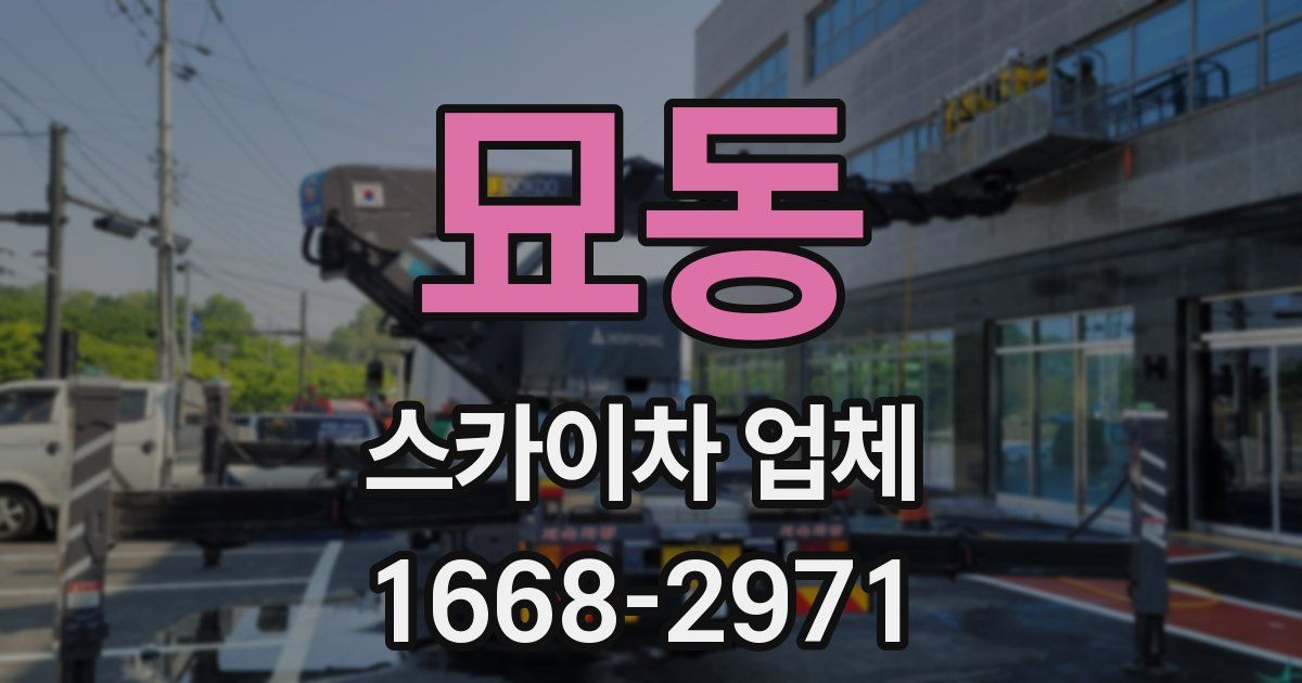 묘동 스카이차 업체