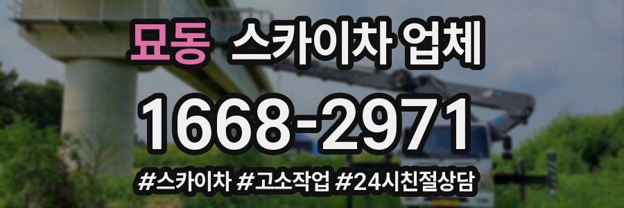 묘동 스카이차 업체