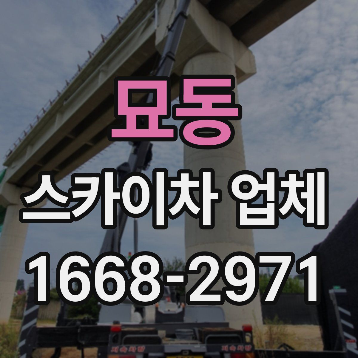 묘동 스카이차 업체