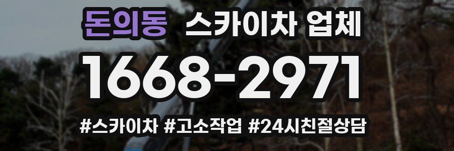 돈의동 스카이차 업체