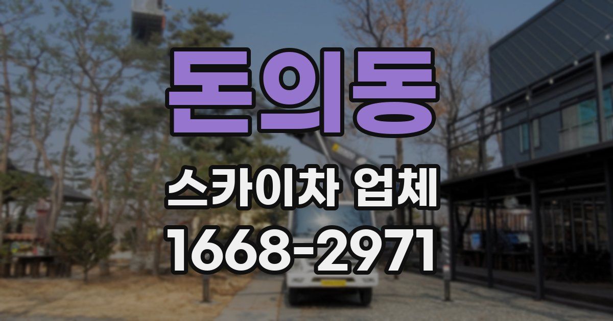 돈의동 스카이차 업체