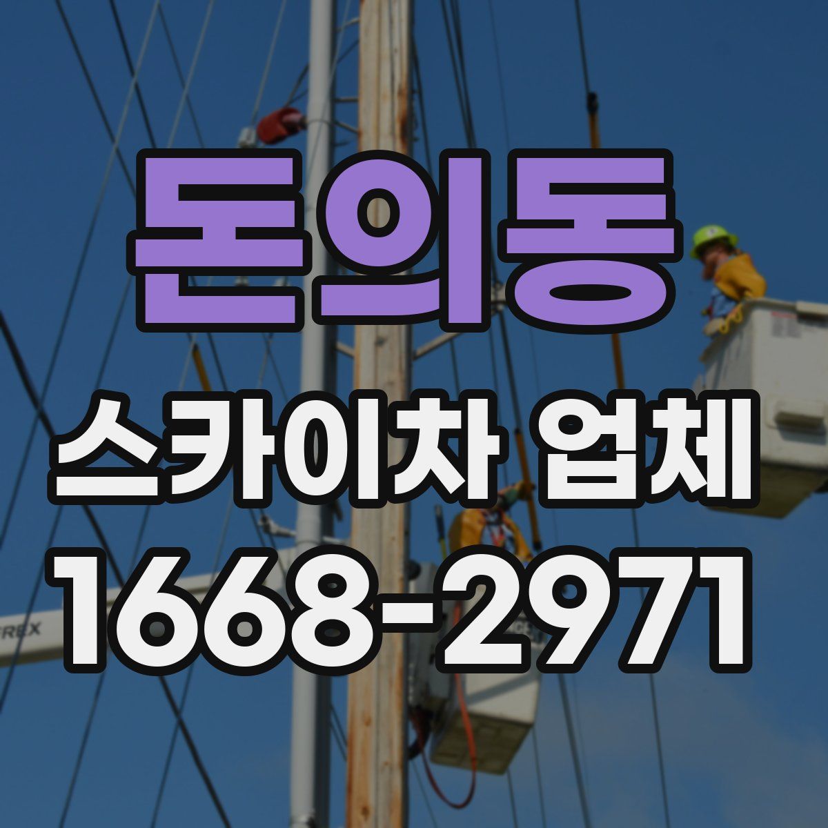 돈의동 스카이차 업체