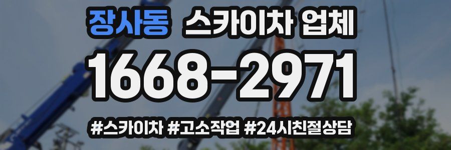 장사동 스카이차 업체