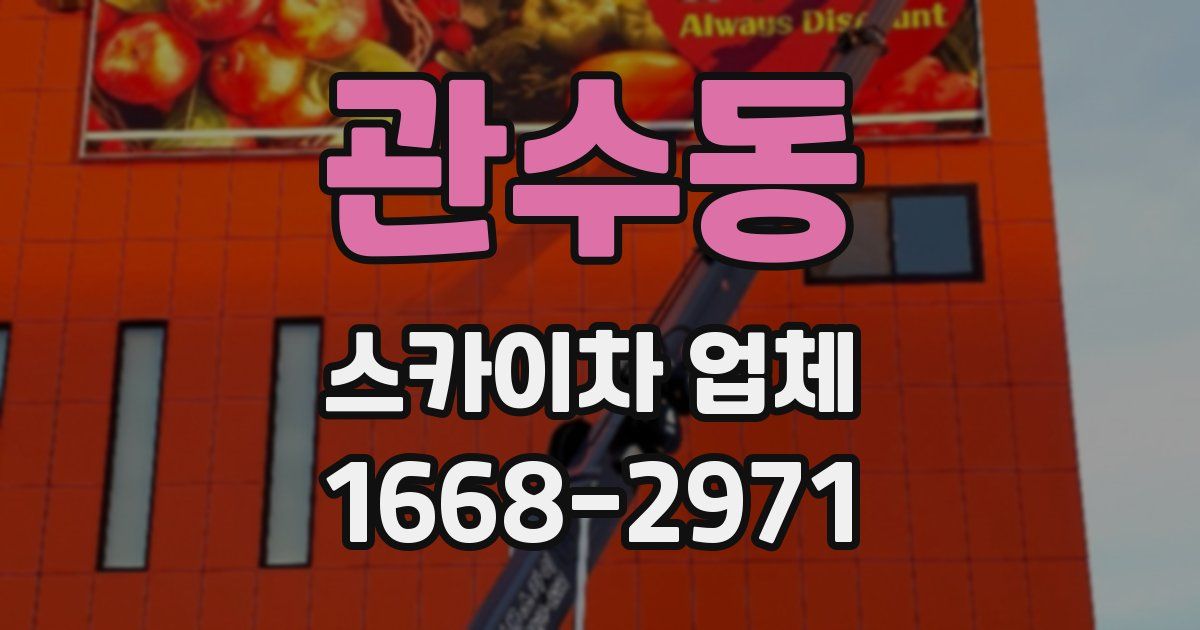 관수동 스카이차 업체