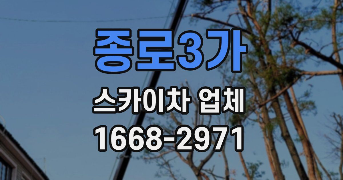 종로3가 스카이차 업체