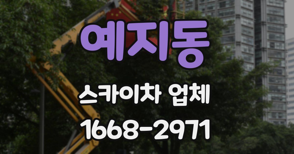 예지동 스카이차 업체